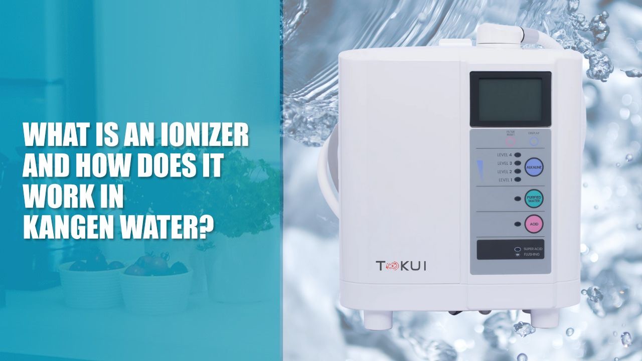 What is an ionizer and how does it work in Kangen water?