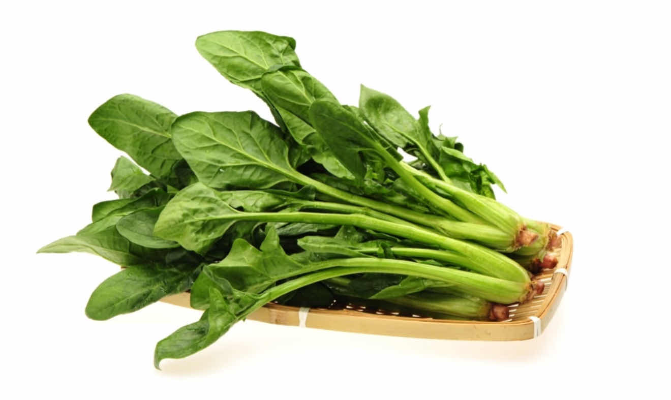 The new secret to keeping spinach fresh is to use hydrogen rich water to solve it
