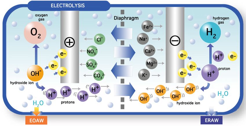 What is an electrolyzed water generator? - Tokui Pty Ltd