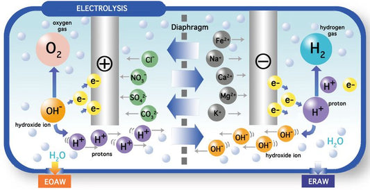 What is an electrolyzed water generator? - Tokui Pty Ltd