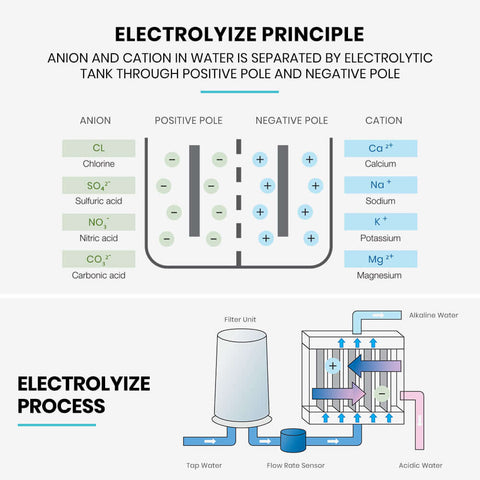 Tokui Alkaline Hydrogen Electrolysed Water Machine Ionizer